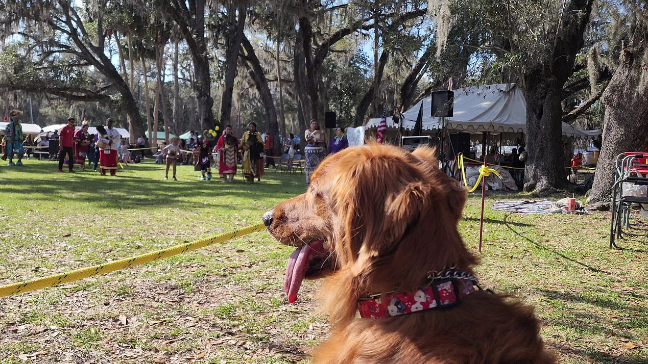 2023 Flagler County Native American Festival